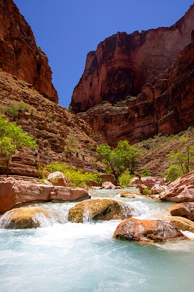 Hikers in Havasu Creek, Grand Canyon National Park, UNESCO World Heritage Site, Arizona, United States of America, North America