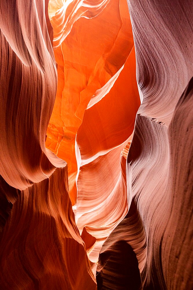 Water eroded Navajo Sandstone forms a slot canyon in Upper Antelope Canyon, Navajo Land, Arizona, United States of America, North America