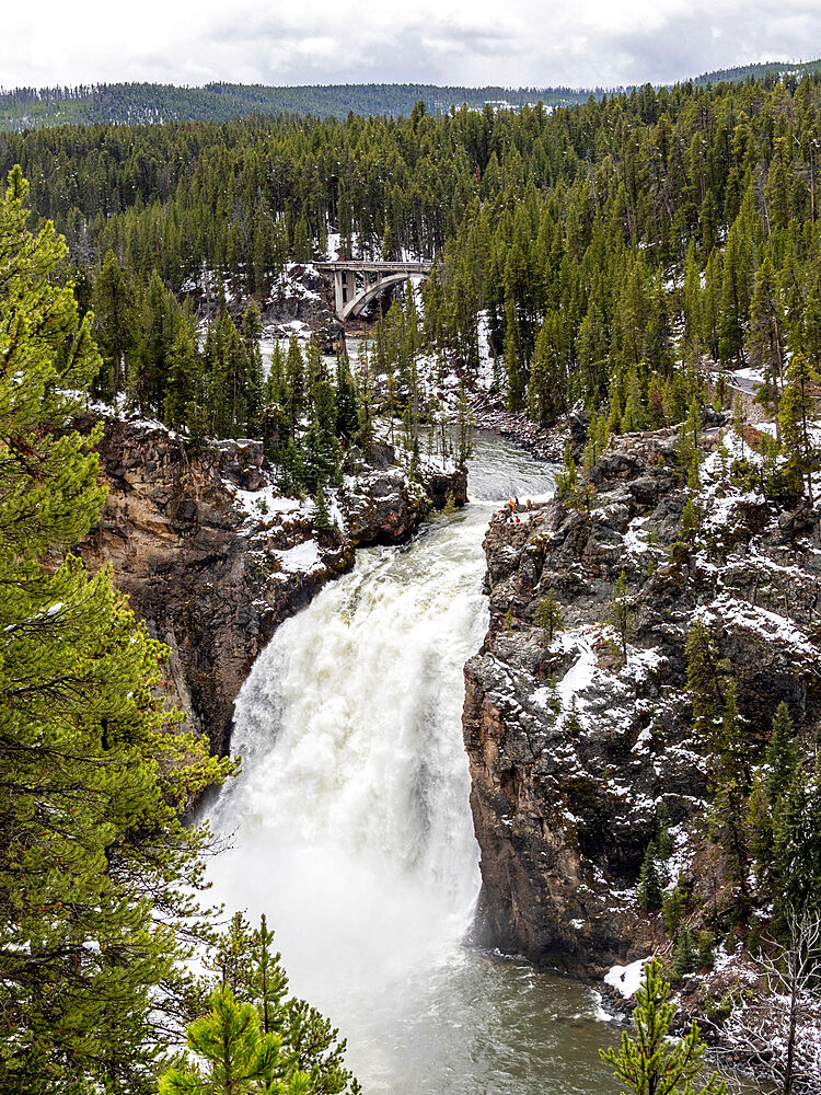 The upper Yellowstone Falls in the Yellowstone River, Yellowstone National Park, UNESCO World Heritage Site, Wyoming, United States of America, North America