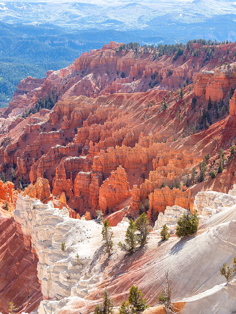 A view of the amphitheater from the rim at 10000 feet in Cedar Breaks National Monument, Utah, United States of America, North America