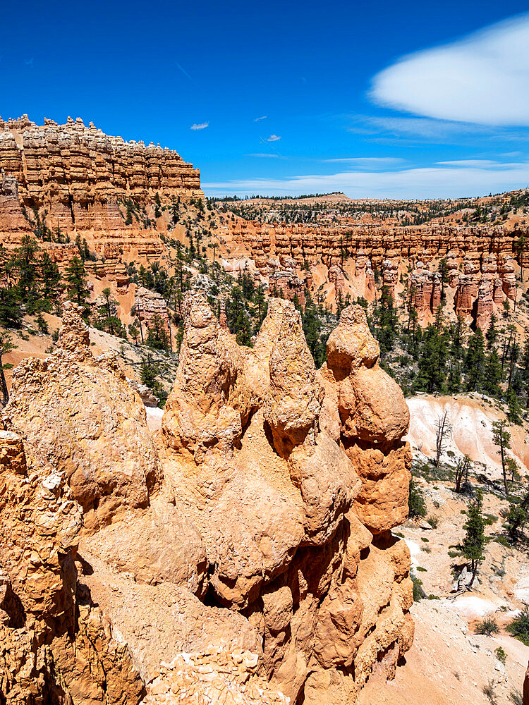 A view of the hoodoos from the Fairyland Trail in Bryce Canyon National Park, Utah, United States of America, North America