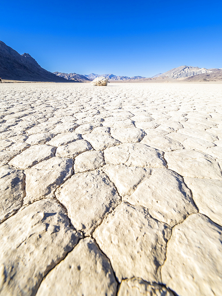 A moving rock at the Racetrack, a playa or dried up lakebed, in Death Valley National Park, California, United States of America, North America