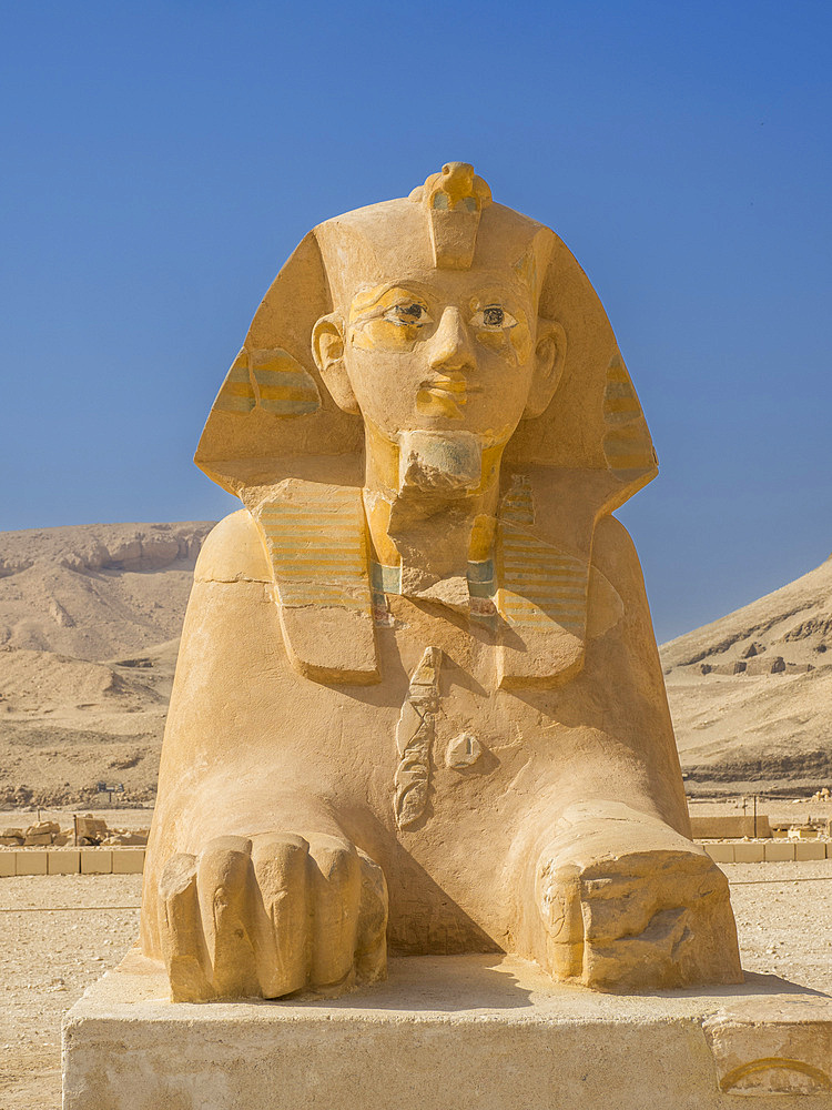 Sphinx at the base of the mortuary temple of Hatshepsut in Deir al-Bahri, built during the reign of Pharaoh Hatshepsut, UNESCO World Heritage Site, Thebes, Egypt, North Africa, Africa