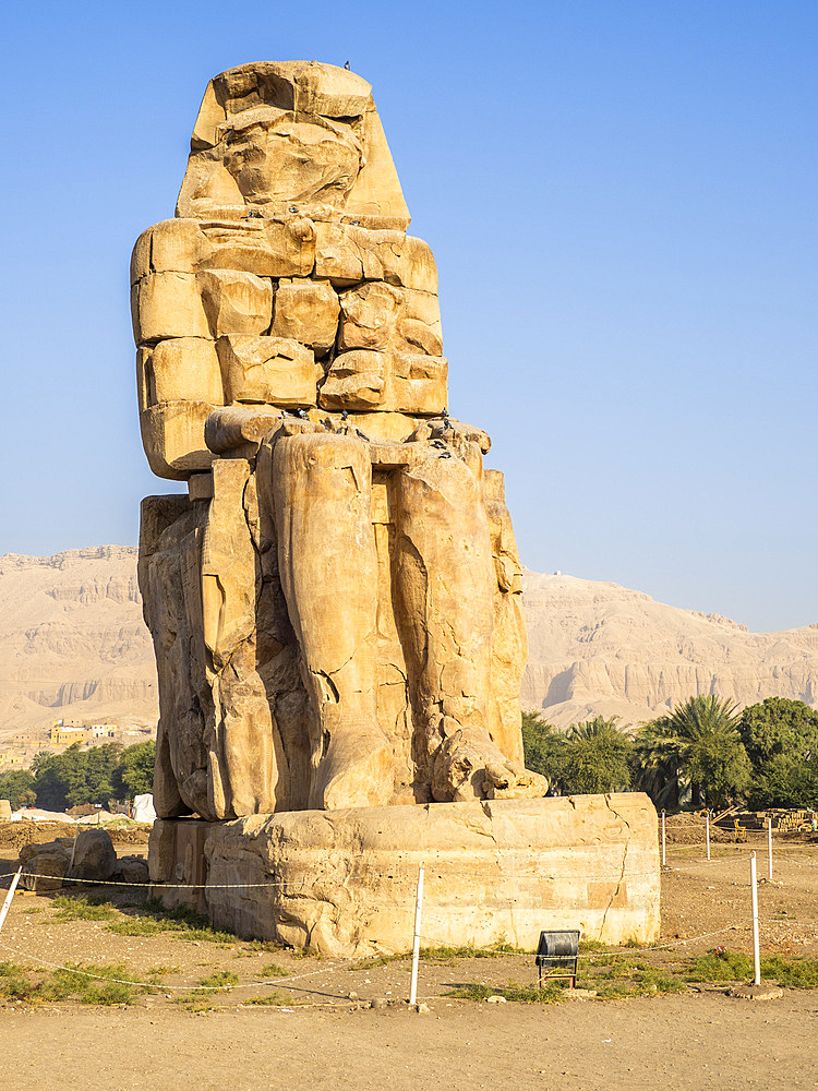 Seated statue, one of the Colossi of Memnon, near the Valley of the Kings, where for a period of 500 years rock tombs were excavated for pharaohs, UNESCO World Heritage Site, Thebes, Egypt, North Africa, Africa