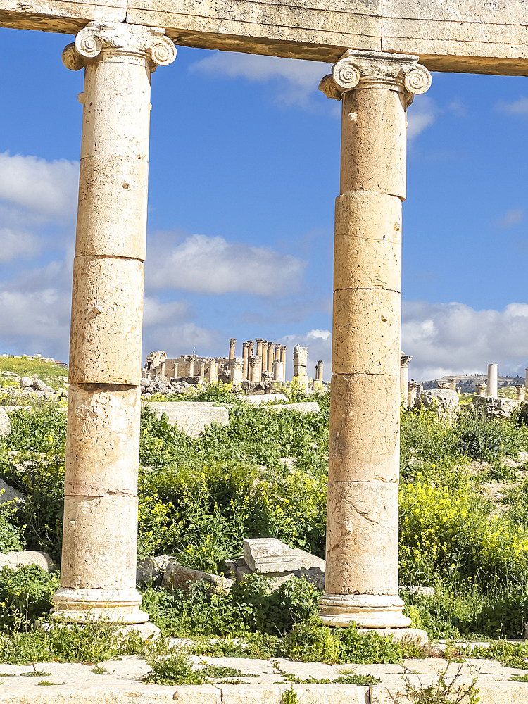 Columns in the Oval Plaza in the ancient city of Jerash, believed to be founded in 331 BC by Alexander the Great, Jerash, Jordan, Middle East