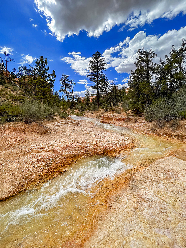 A stream running through the Mossy Cave Trail in Bryce Canyon National Park, Utah, United States of America, North America