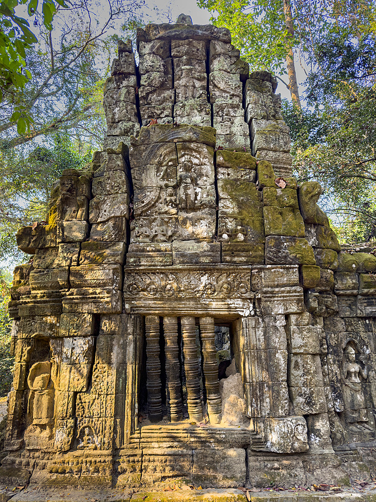 Ta Prohm Temple, a Mahayana Buddhist monastery built in the late 12th century for Khmer king Jayavarman VII, Angkor, UNESCO World Heritage Site, Cambodia, Indochina, Southeast Asia, Asia