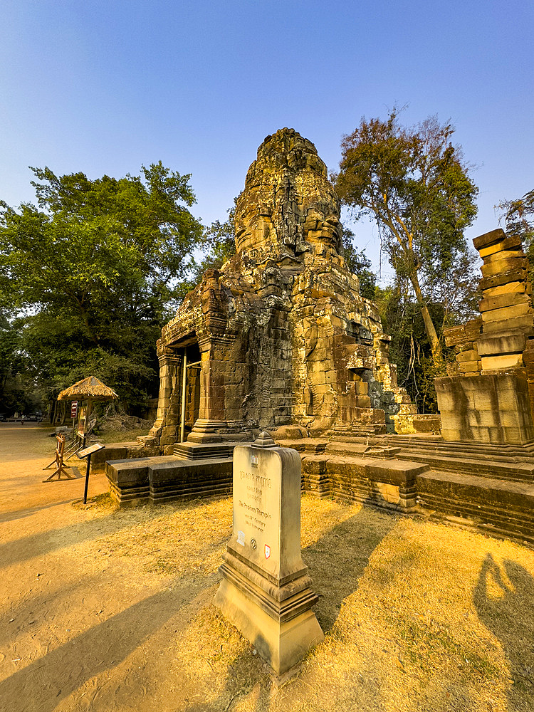 Ta Prohm Temple, a Mahayana Buddhist monastery built in the late 12th century for Khmer king Jayavarman VII, Angkor, UNESCO World Heritage Site, Cambodia, Indochina, Southeast Asia, Asia