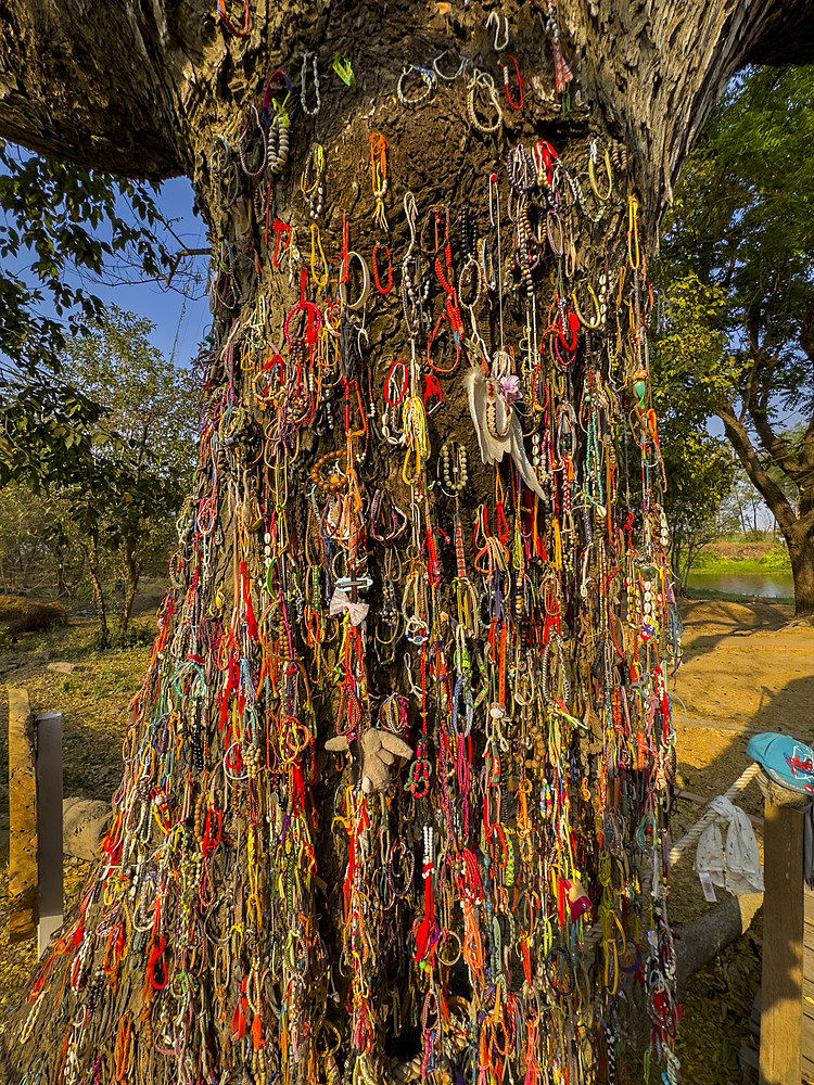 The killing tree, dedicated to those killed during the Khmer Rouge conflict at Choueng Ek, Phnom Pehn, Cambodia, Indochina, Southeast Asia, Asia