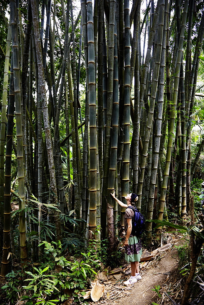 Woman in a bamboo forest, Tenganan, Bali, Indonesia