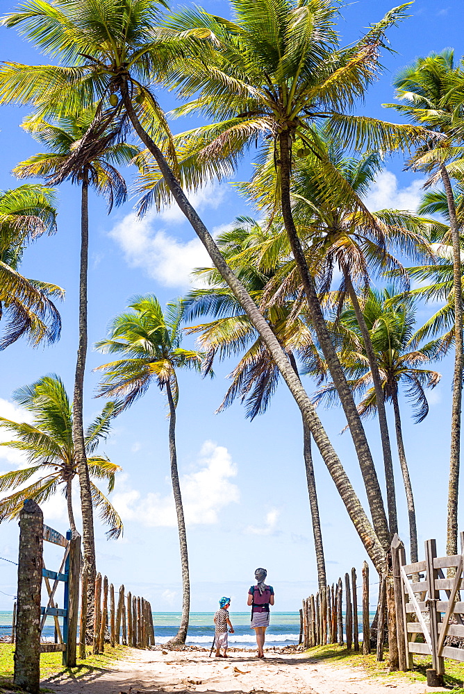 Woman and child on their way to the beach, Palm trees, Atlantic ocean, paradise, Boipeba, Bahia, Brasil