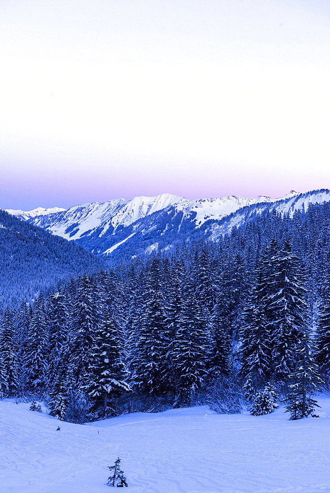 Winterly snowcovered landscape in the Kleinwalser valley in Vorarlberg at the blue hour, Vorarlberg, Austria