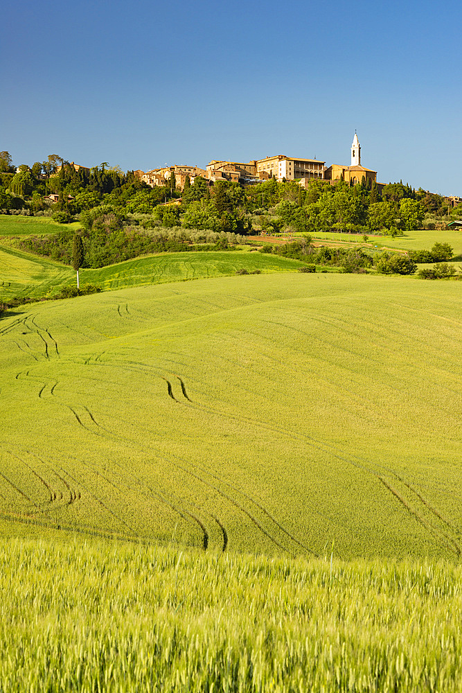 Landscape around Pienza, Val d'Orcia, Orcia Valley, UNESCO World Heritage Site, Province of Siena, Tuscany, Italy, Europe