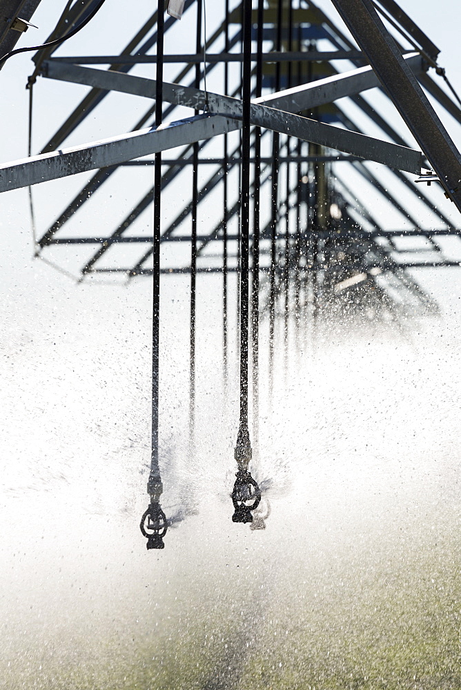 Close-up of sprinkler heads spraying a field, Mossleigh, Alberta, Canada