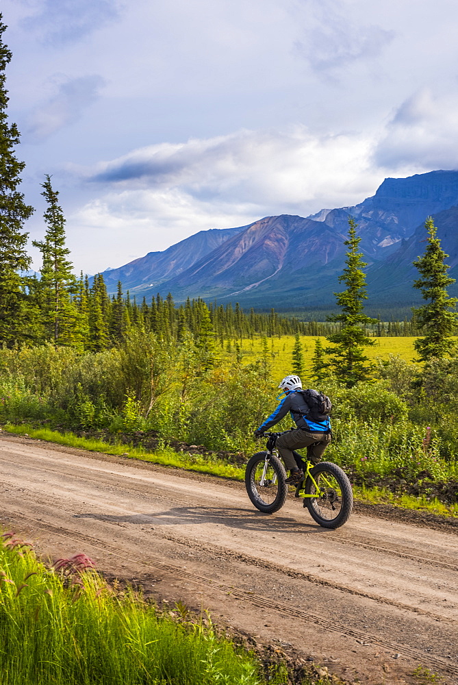 A man fat biking on the Nabesna Road in Wrangell-St. Elias National Park and Preserve on a cloudy summer day in South-central Alaska, Alaska, United States of America