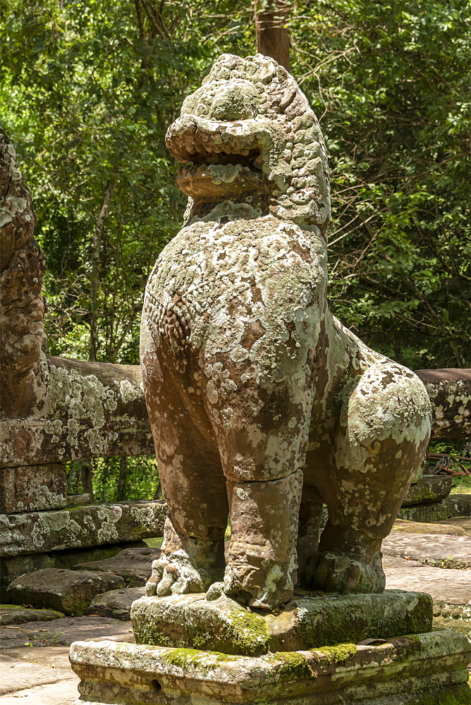 Stone lion covered in lichen, Banteay Kdei, Angkor Wat, Siem Reap, Siem Reap Province, Cambodia