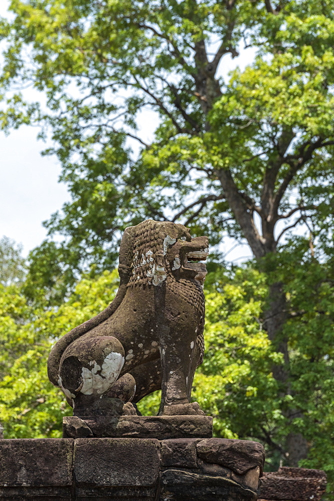 Stone lion covered in lichen guarding steps, East Mebon, Angkor Wat, Siem Reap, Siem Reap Province, Cambodia