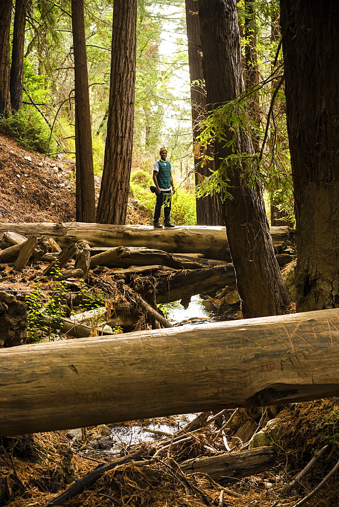 A man stands on a log over a stream in a forest, Julia Pfeiffer Burns State Park, California, United States of America