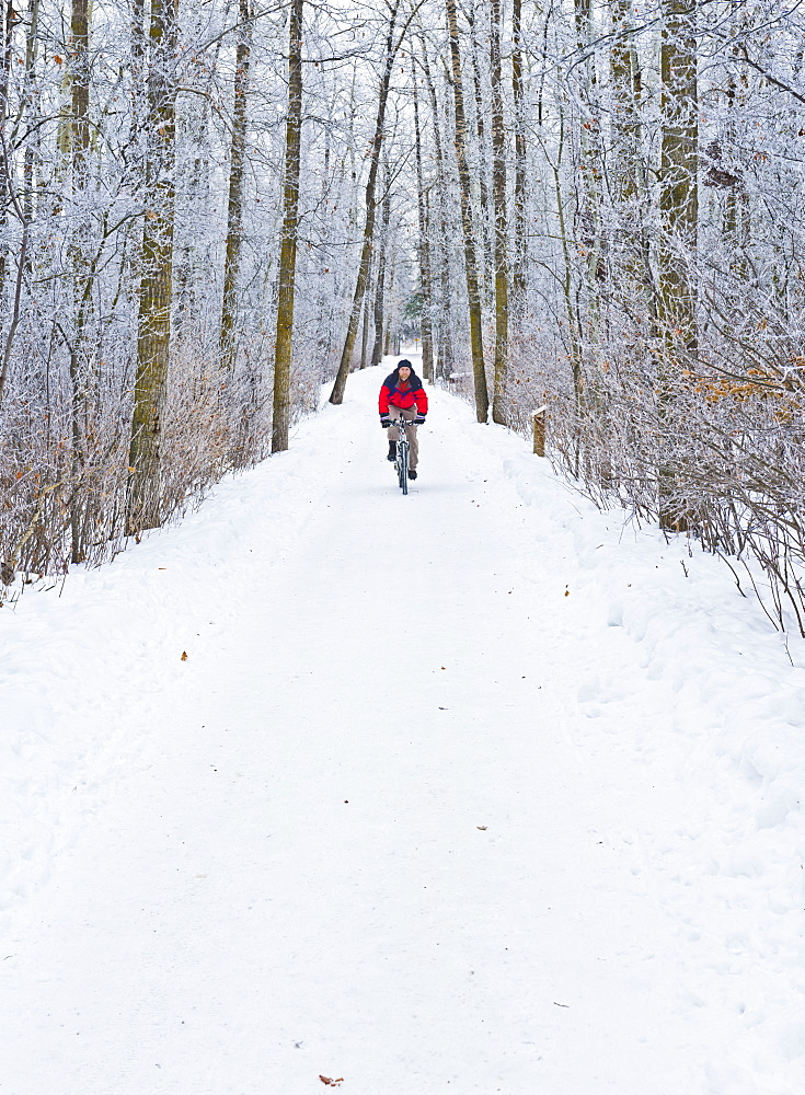 Mountain bike rider on a snowy winter trail ride, St. Albert, Alberta, Canada