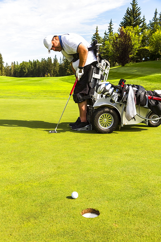 A physically disabled golfer putting a ball on a golf green and using a specialized golf assistance motorized hydraulic wheelchair, Edmonton, Alberta, Canada