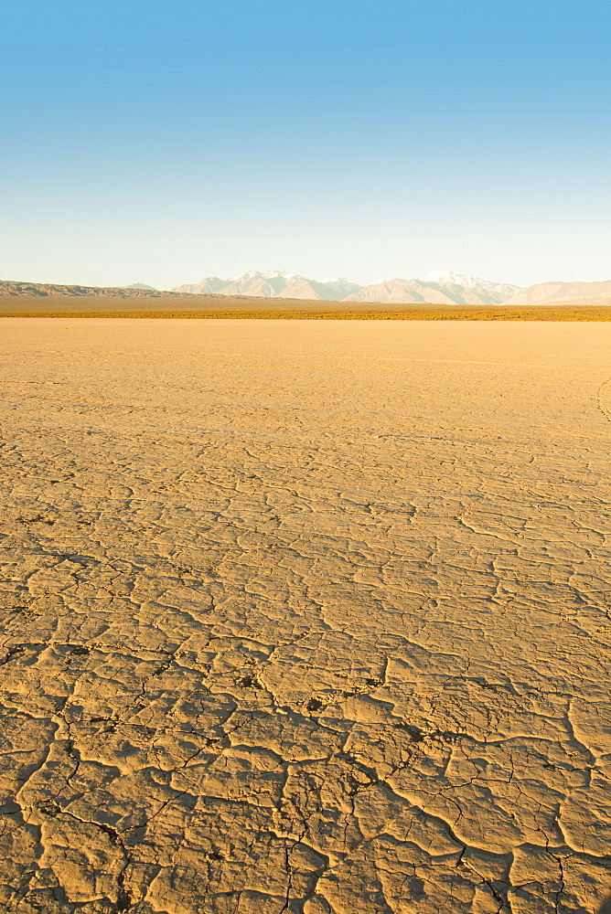 Vertical image of a dry mud-caked lake bed with snow-capped mountains in the distance at dawn, Barreal, San Juan, Argentina