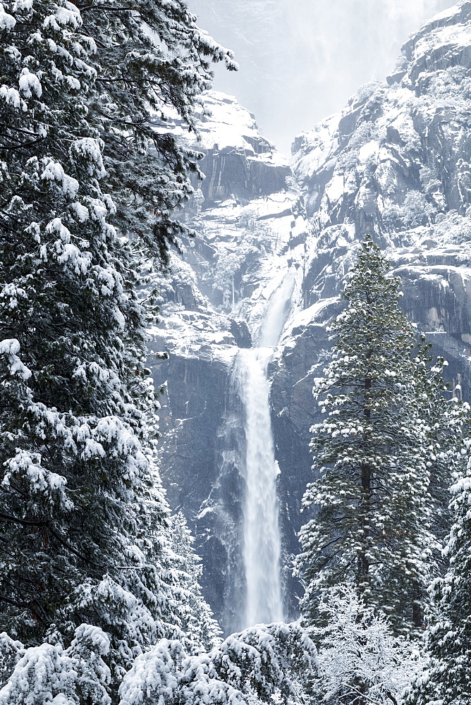 Yosemite Falls with snow in winter, Yosemite Valley, Yosemite National Park, California, United States of America