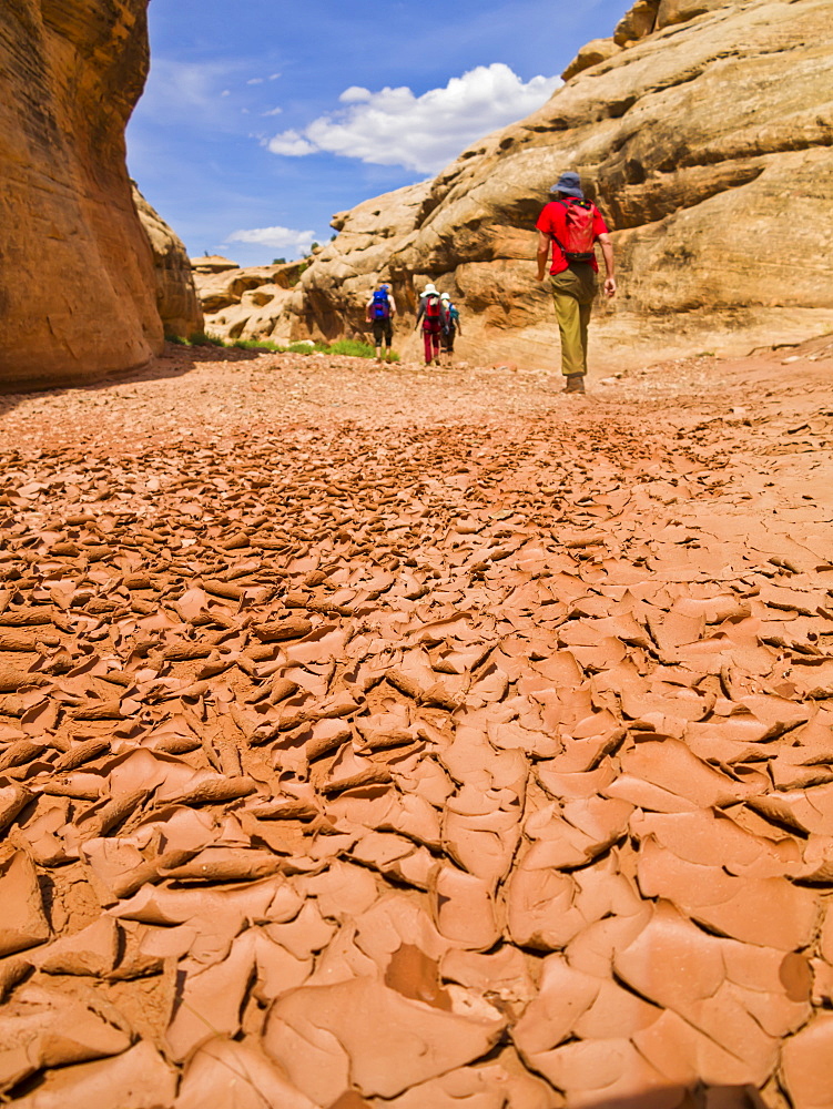 Hikers walk along the dry cracked mud beside sandstone cliffs, Hanksville, Utah, United States of America