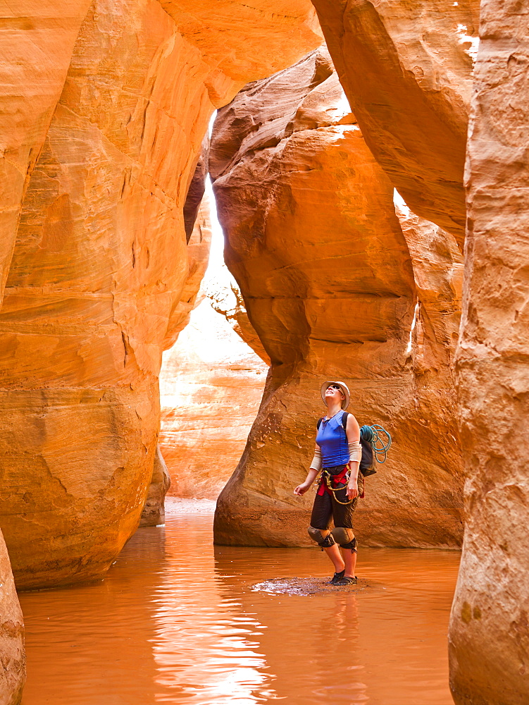 A female adventurer admiring the height of the slot canyon she is surrounded by water in, Hanksville, Utah, United States of America