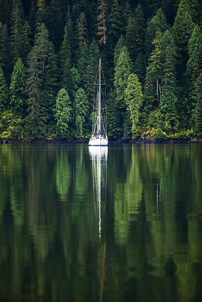 Sailboat in an estuary, Great Bear Rainforest, Hartley Bay, British Columbia, Canada