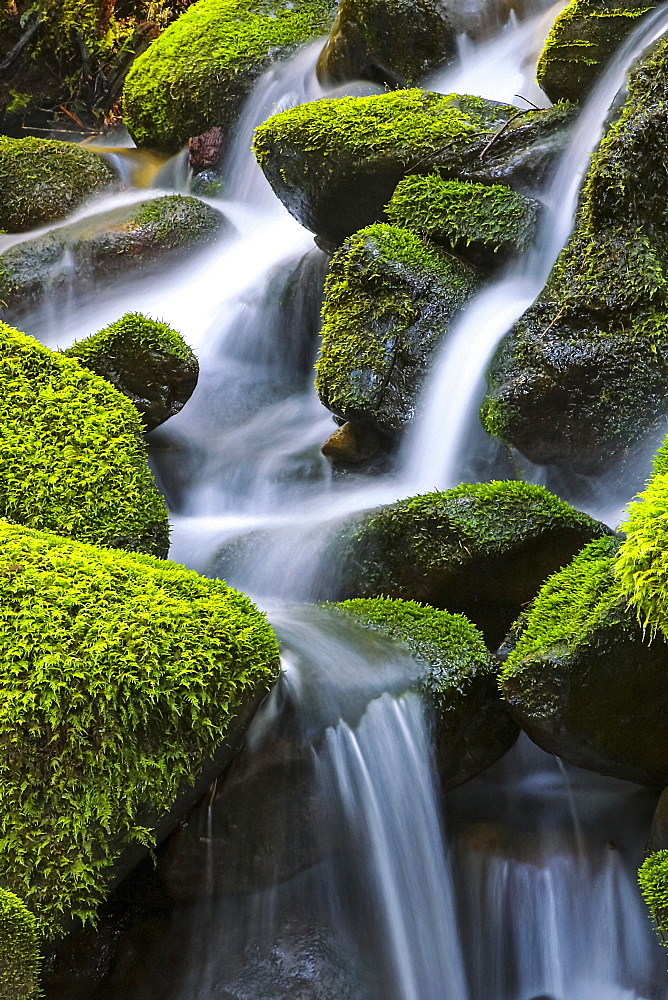 Moss-covered rocks with cascading water, Denver, Colorado, United States of America