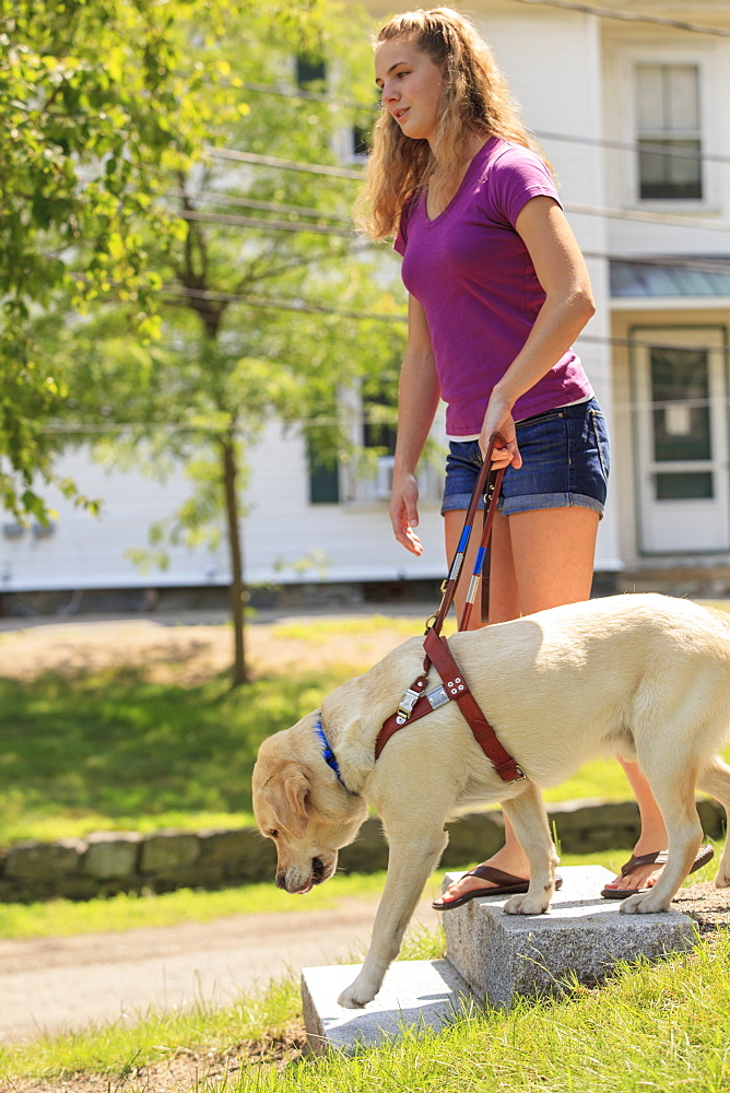 Service dog helping a woman with visual impairment down stairs