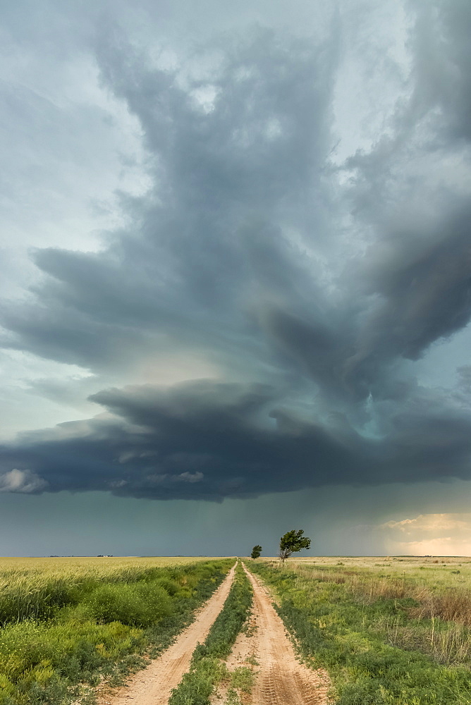 Supercell over the prairies and a dirt road, with sunlight illuminating the dramatic sky; Tulsa, Oklahoma, United States of America