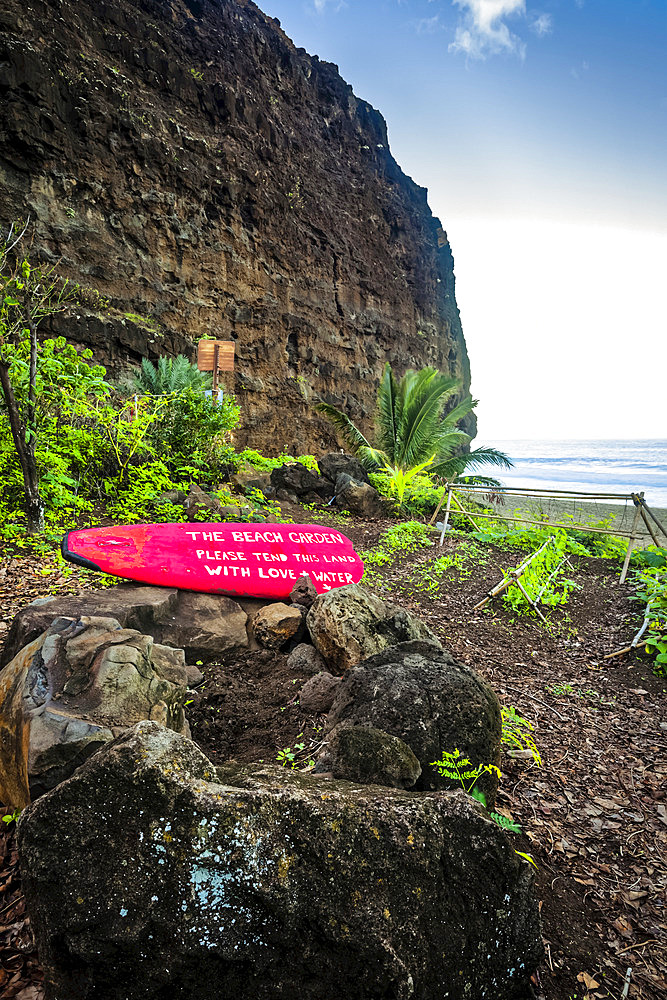 Community garden at Kalalau Beach, cliff and ocean are in the background, Na Pali Coast State Park; Kauai, Hawaii, United States of America