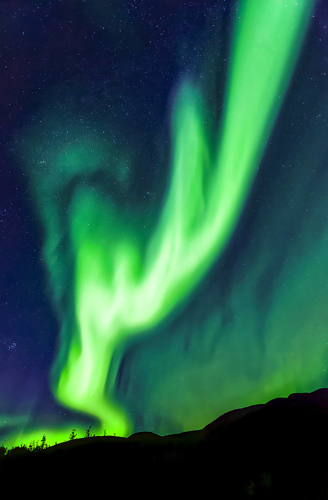 Intense antler-shaped aurora waving over Mount Fairplay, Taylor Highway, Interior Alaska in autumn; Alaska, United States of America