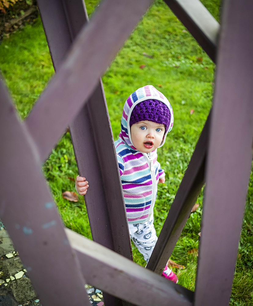 A toddler girl standing outside on grass and looking through a metal sculpture at the camera; Whidbey Island, Washington, United States of America