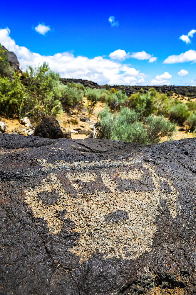 Petroglyphs on volcanic rock with sagebrush in the background, Piedras Marcadas Canyon, Petroglyph National Monument on a sunny, spring afternoon; Albuquerque, New Mexico, United States of America