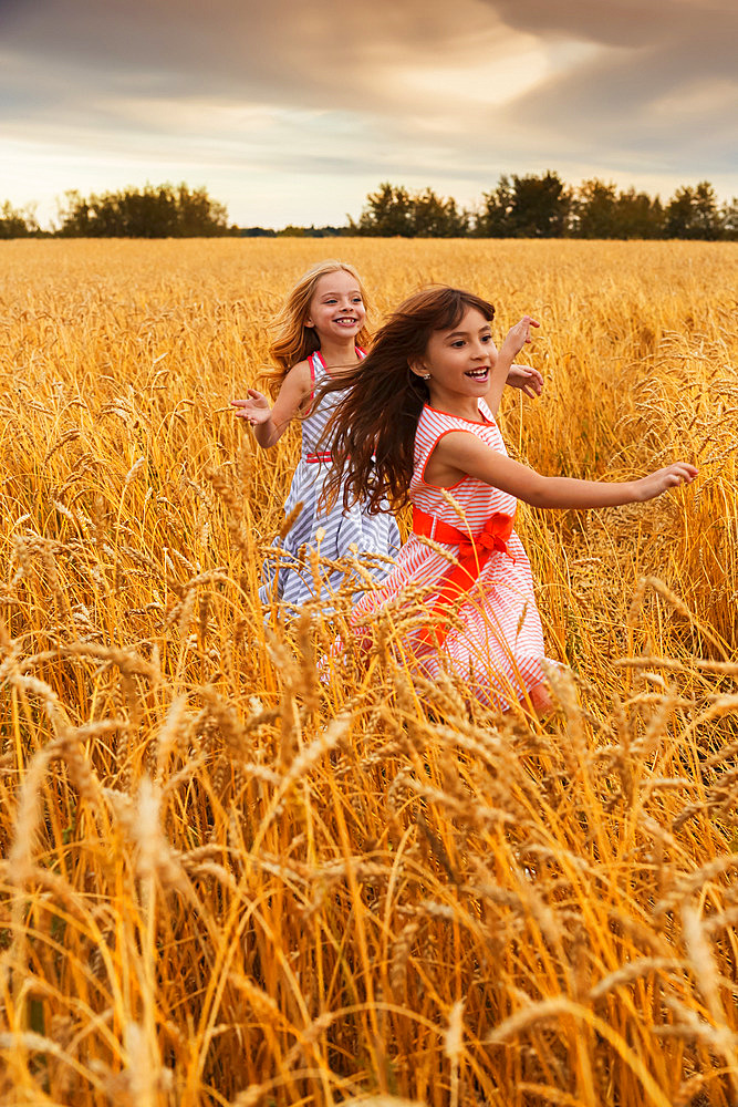 Two young girls running in a golden wheat field; Alberta, Canada