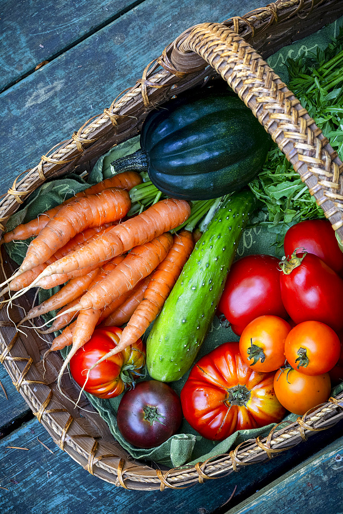 Basket of a variety of fresh produce; Mayne Island, Gulf Islands, British Columbia, Canada