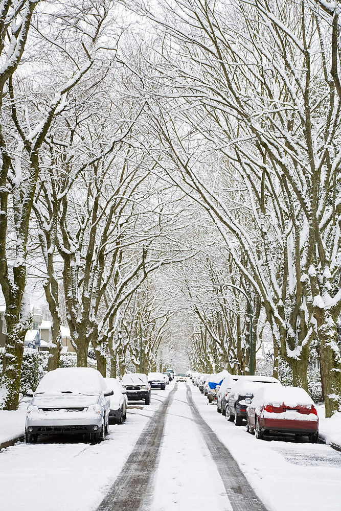 Winter, West Point Grey, Vancouver, British Columbia, Canada