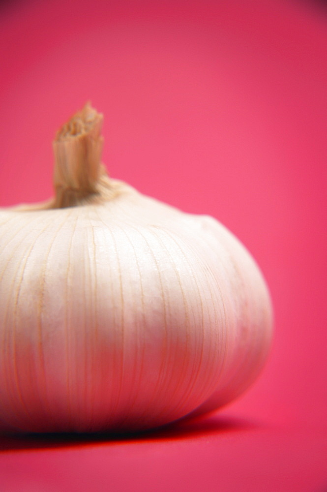 A Bulb Of Garlic