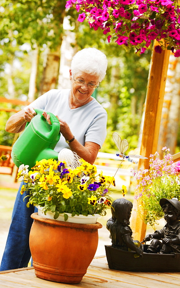 A Senior Woman Waters A Flower Pot