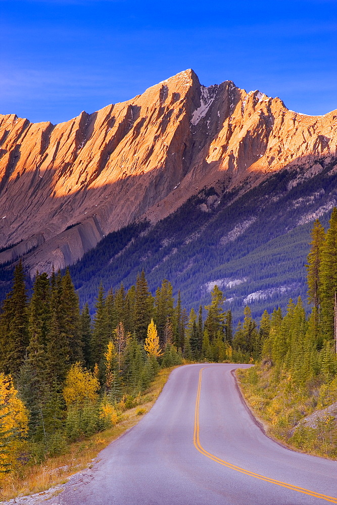 Medicine Lake Highway In Jasper National Park, Alberta, Canada