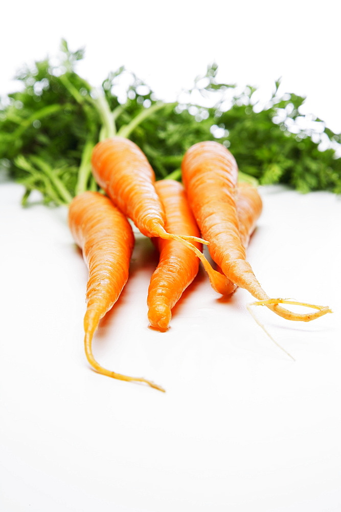 Bundle Of Fresh Carrots