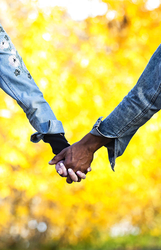 Close-up of the clasped hands of a mixed race couple, holding hands and spending quality time together during a fall family outing in a city park, Edmonton, Alberta, Canada