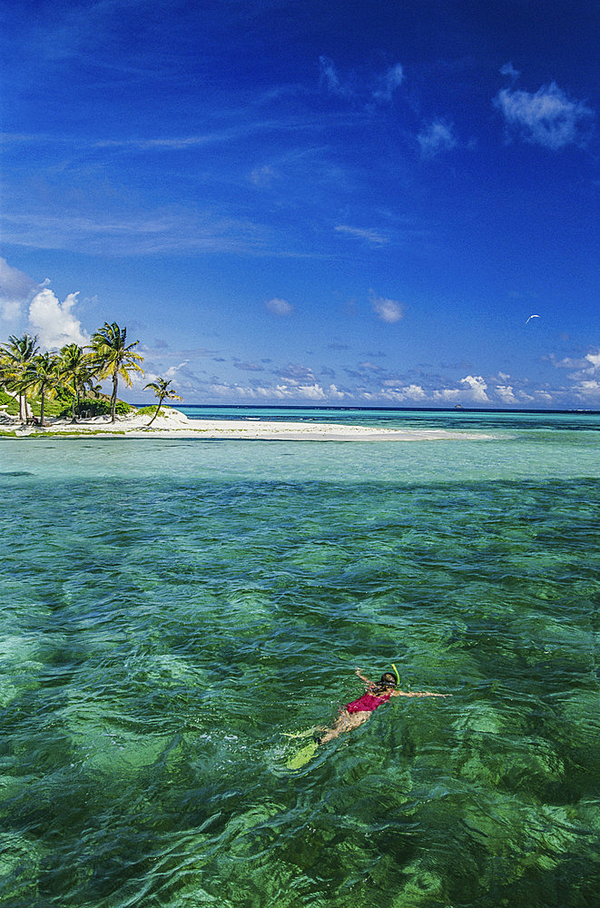 Lone snorkeler floats in waters off a palm tree-dotted island in the Tobago Cays, near Bequia, Saint Vincent and the Grenadines, West Indies