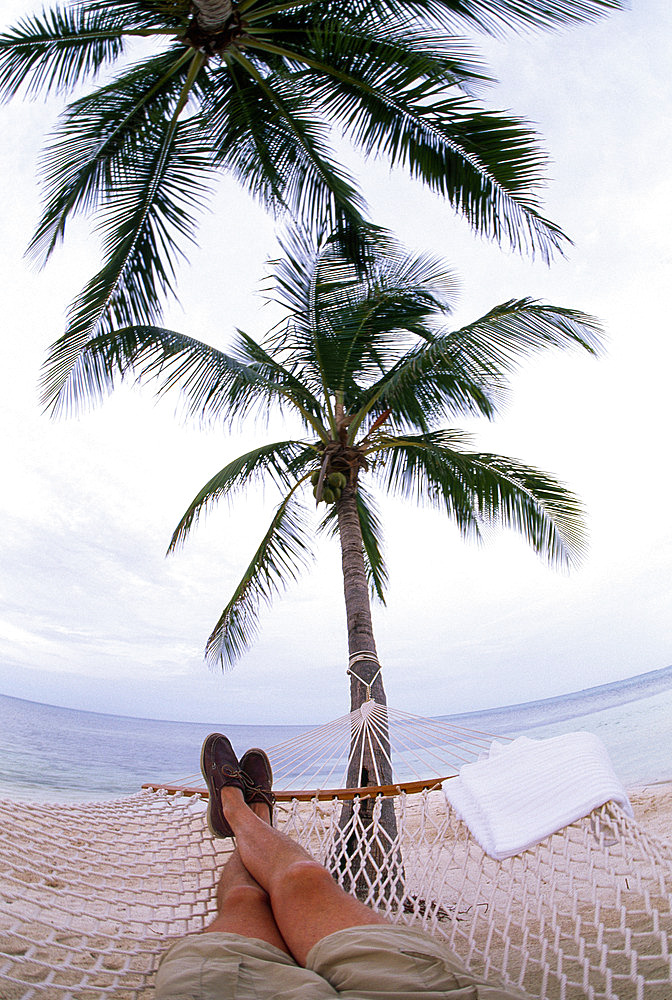 Man lays on a hammock between palm trees, Key West, Florida, United States of America