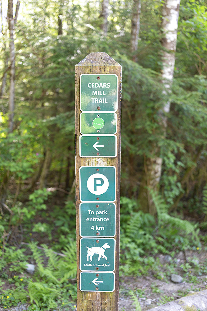 Icon, information sign post at Cedars Mill Trail in Lynn Valley Canyon, North Vancouver, British Columbia, Canada