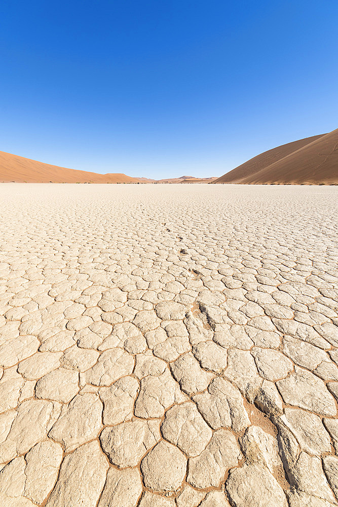 Dried footprints across Deadvlei, Sossusvlei, Namib-Naukluft Park, Namibia