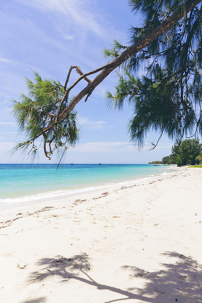 Beautiful scene of a white sand beach and tropical tree along Puru Kambera Beach, East Nusa Tenggara, Indonesia, Hamba Praing, Kanatang, East Sumba Regency, East Nusa Tenggara, Indonesia