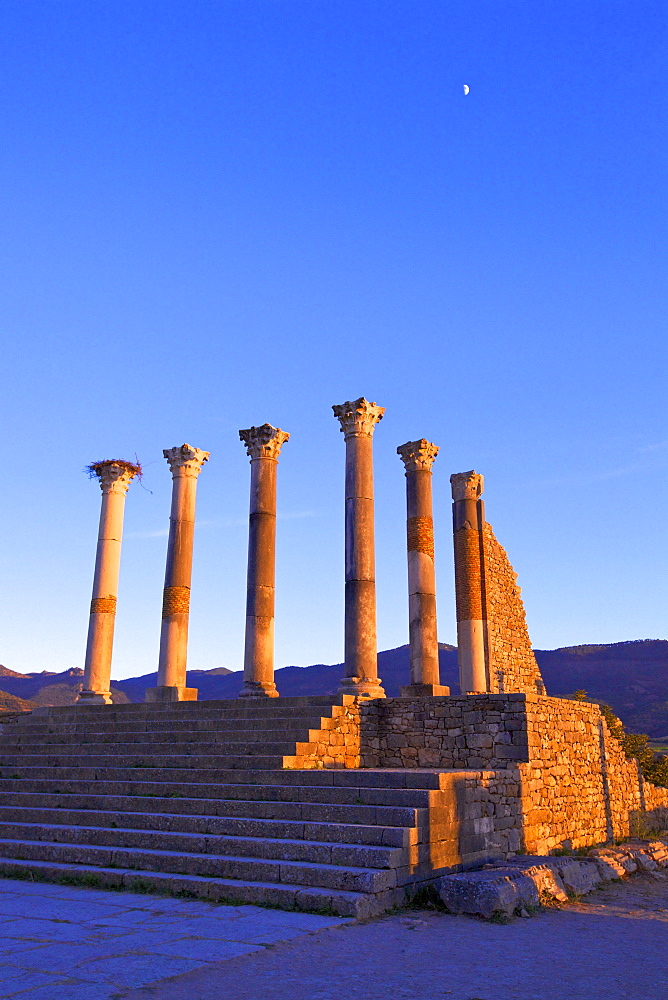 Excavated Roman City, Volubilis, UNESCO World Heritage Site, Morocco, North Africa, Africa